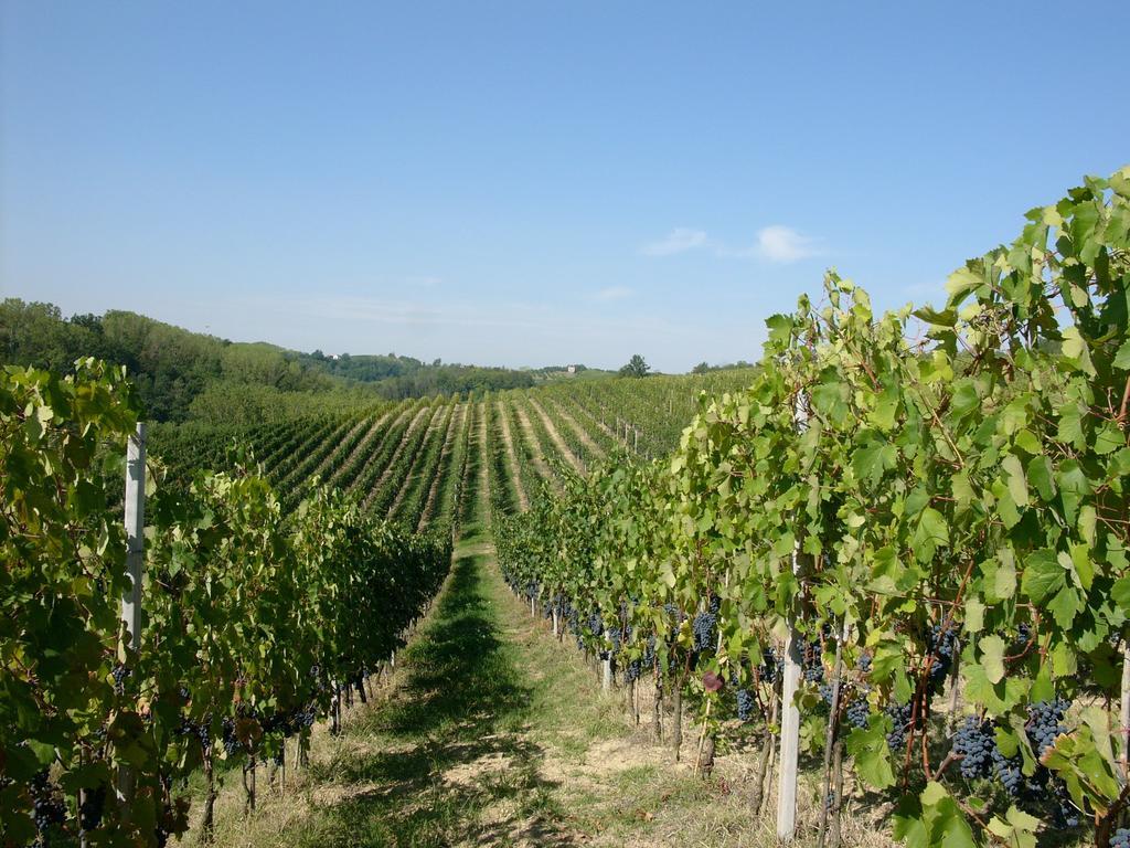 Marchesi Incisa Winery Lodge Rocchetta Tanaro Bagian luar foto